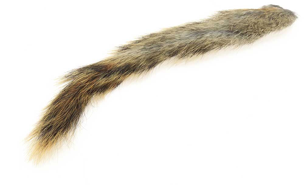 Squirrel Tail - Natural Pine