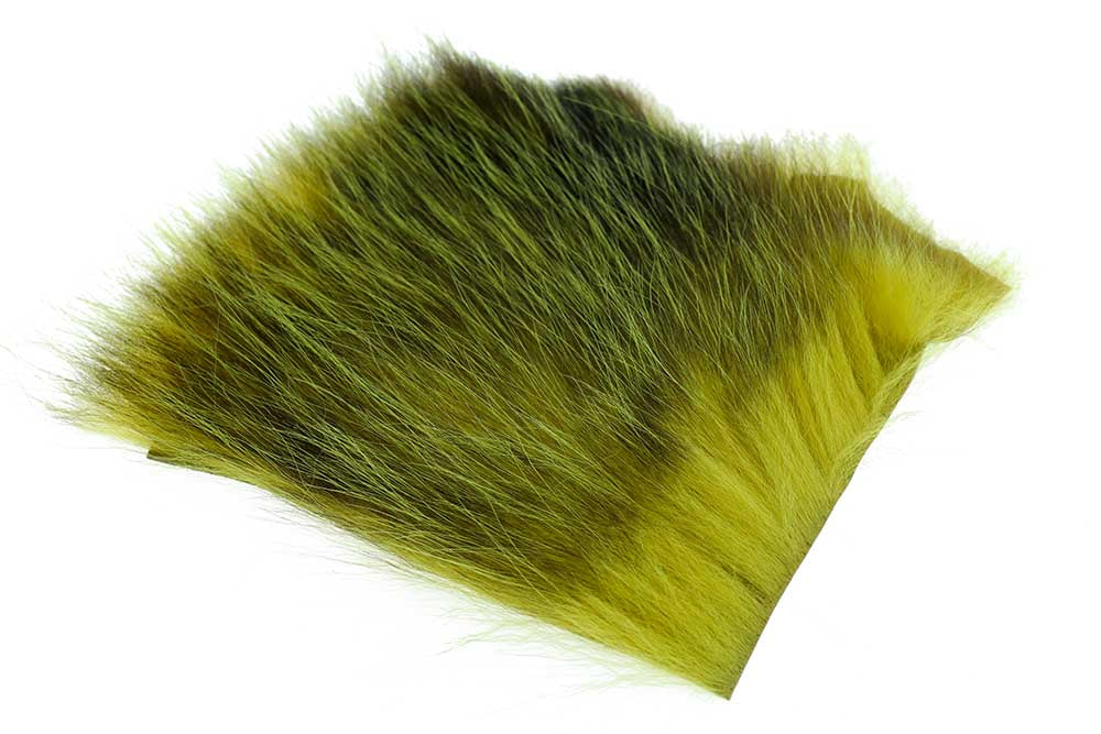 US Opossum - Golden Olive