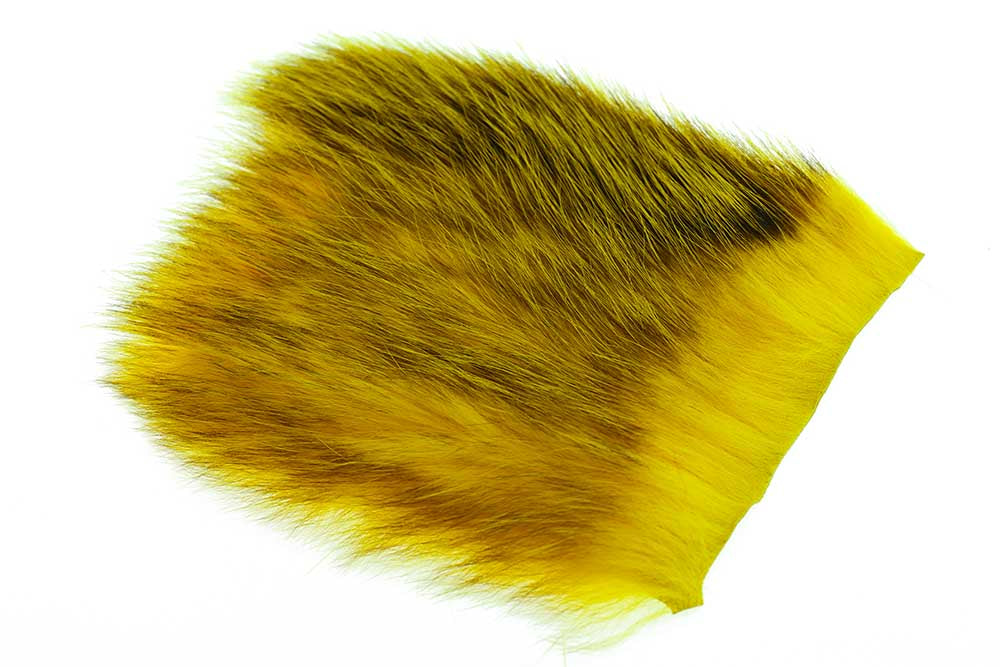 US Opossum - Yellow