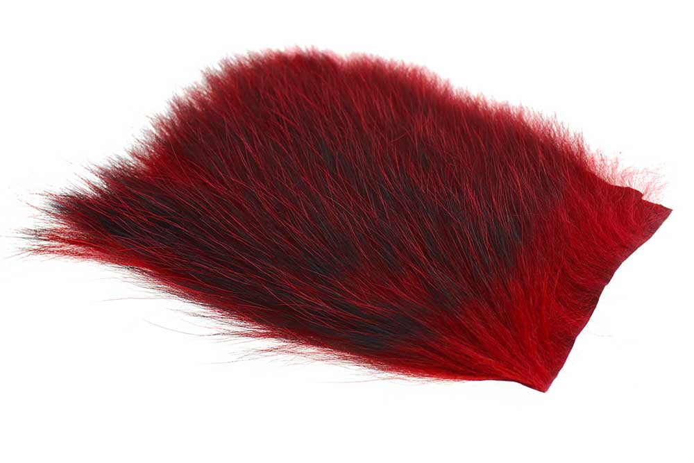 US Opossum - Red