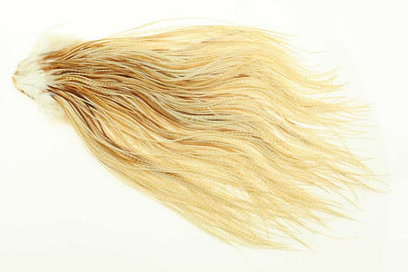 You added <b><u>(Gold Grade) Whiting Red Label Saddle - Barred Medium Ginger</u></b> to basket.