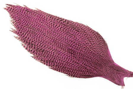 You added <b><u>Ewing #1 Grizzly Cape Pink</u></b> to basket.