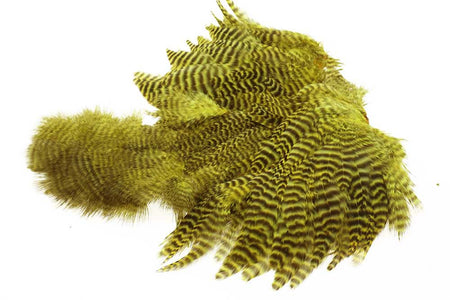 You added <b><u>Ewing Golden Olive Grizzly Body Marabou Patch</u></b> to basket.