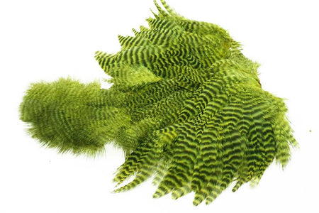 You added <b><u>Ewing Chartreuse Grizzly Body Marabou Patch</u></b> to basket.