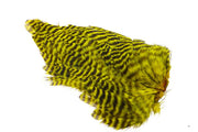 Soft hackles - Grizzly Yellow