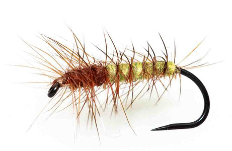 You added <b><u>Material Kit - Super pupa </u></b> to basket.