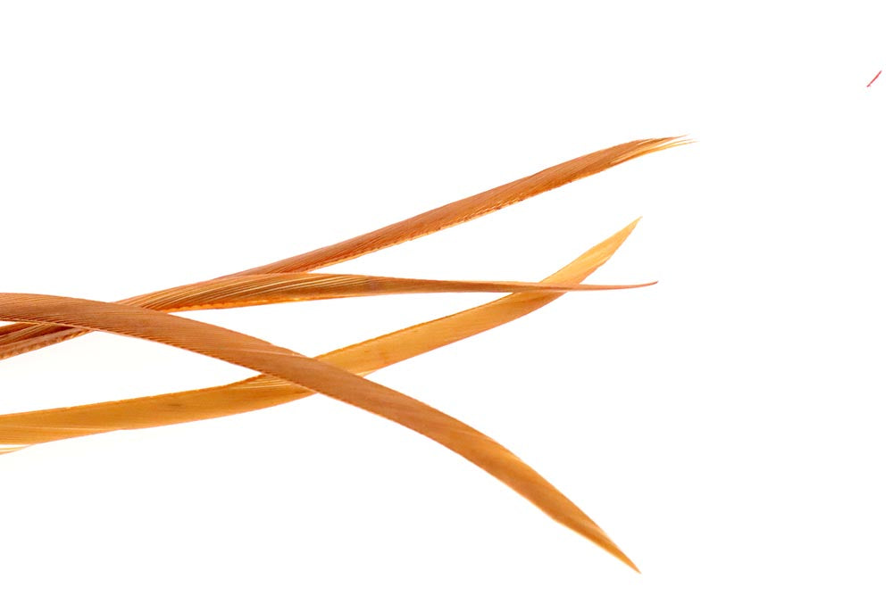 Goose Biots - Ginger