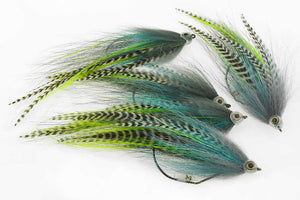 Material kit -  The Budgerigar