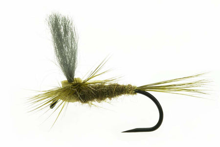 You added <b><u>Material kit - Beatis Rhodani Parachute</u></b> to basket.