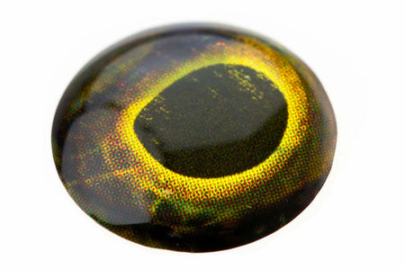 You added <b><u>Lifelike eyes - Golden</u></b> to basket.