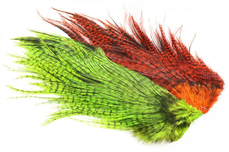 You added <b><u>Whiting Rooster Coq de leon Predator pack - Chartreuse/Orange</u></b> to basket.