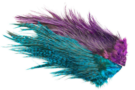 You added <b><u>Whiting Rooster Coq de leon Predator pack - Blue/Purple</u></b> to basket.