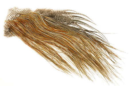 You added <b><u>(Silver Grade) Whiting Red Label Saddle - Barred Dark Ginger</u></b> to basket.