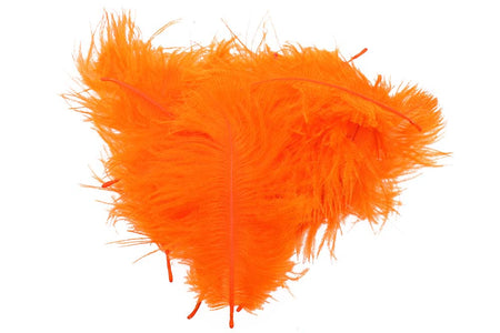 You added <b><u>Micro Ostrich Spey Plumes - Orange</u></b> to basket.