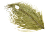 XL Struds Herl - Olive