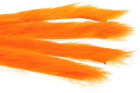 You added <b><u>3 mm Rabbit Zonkerstrip - Fl. Orange</u></b> to basket.