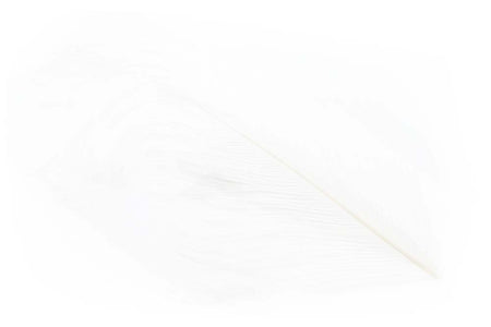 You added <b><u>Ostrich Herl - White</u></b> to basket.
