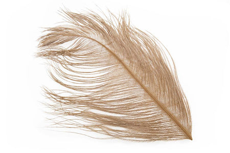 You added <b><u>Ostrich Herl - Ginger</u></b> to basket.