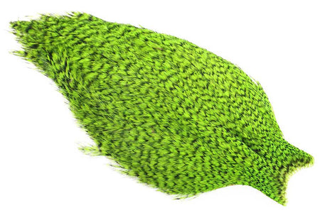 You added <b><u>Whiting American Rooster Cape - Grizzly Chartreuse</u></b> to basket.