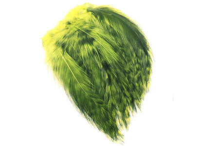 You added <b><u>Rooster Hackles Grizzly - Olive</u></b> to basket.
