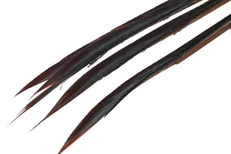 You added <b><u>Goose Biots - Rusty Brown</u></b> to basket.