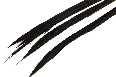 You added <b><u>Goose Biots - Black</u></b> to basket.