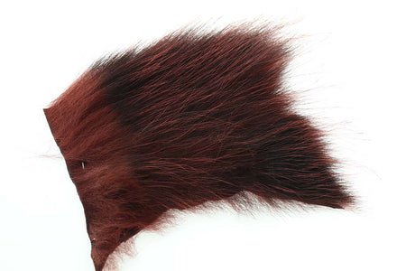 You added <b><u>Futurefly American Opossum - Phatagorva</u></b> to basket.
