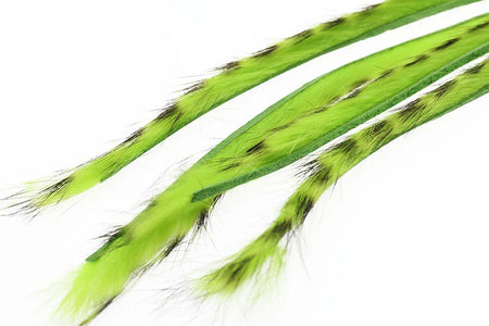 You added <b><u>3mm Rabbit Barred Zonkerstrip - Fl.Chartreuse</u></b> to basket.