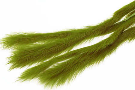 You added <b><u>3mm Rabbit Zonkerstrip - Olive</u></b> to basket.