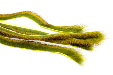 You added <b><u>Pine squirrel - Lt. Olive</u></b> to basket.