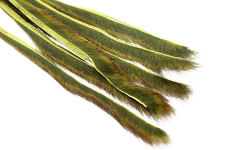 You added <b><u>Pine squirrel - Olive</u></b> to basket.