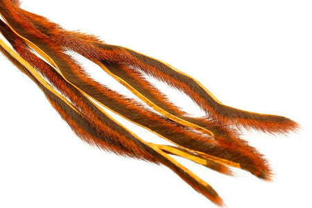 You added <b><u>Pine squirrel - Orange</u></b> to basket.