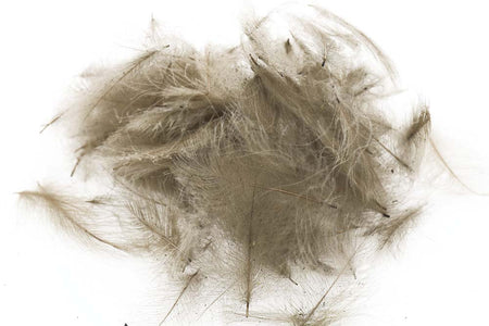 You added <b><u>Select Cdc 1 gram - Smoke Dun</u></b> to basket.