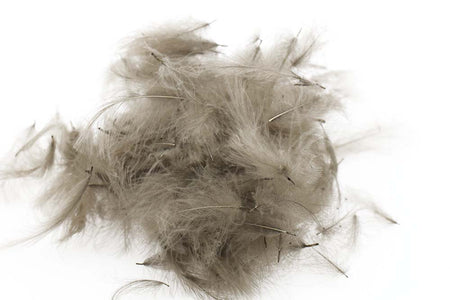 You added <b><u>Swiss CDC Standard - Dark Down 16</u></b> to basket.