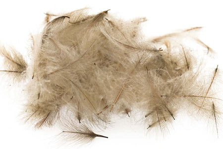 You added <b><u>Swiss CDC Standard - Khaki Campell 5</u></b> to basket.