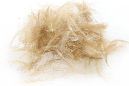 You added <b><u>Swiss CDC Standard - Light Brown 4</u></b> to basket.