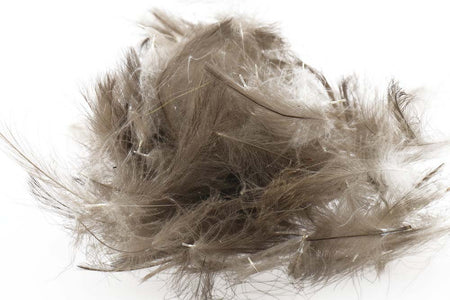 You added <b><u>Swiss CDC Standard - Dark Gray Khaki 8</u></b> to basket.
