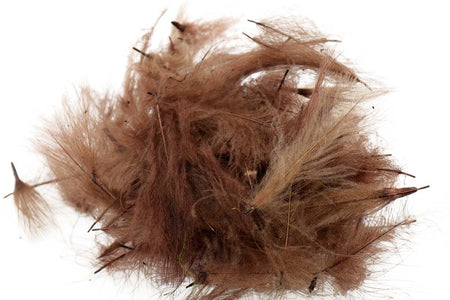 You added <b><u>Swiss CDC Standard - Dark Pardo 20</u></b> to basket.