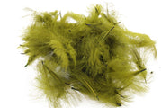 Swiss CDC Standard - Olive 23