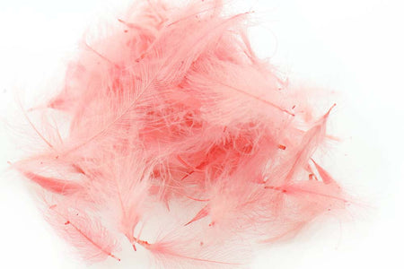 You added <b><u>Swiss CDC Standard - Light Pink 30</u></b> to basket.