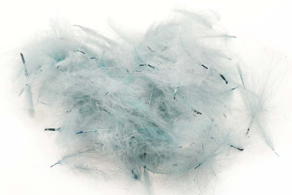 Swiss CDC Standard - Pale Dun 14