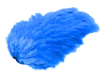 You added <b><u>Futurefly FF Signature Hen Saddle - King Fisher Blue</u></b> to basket.