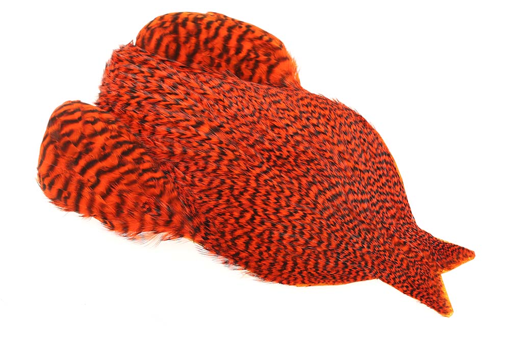 4B Whiting Rooster Cape - Grizzly Orange 
