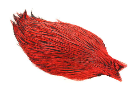 You added <b><u>4B Whiting Rooster Cape - Badger Red</u></b> to basket.