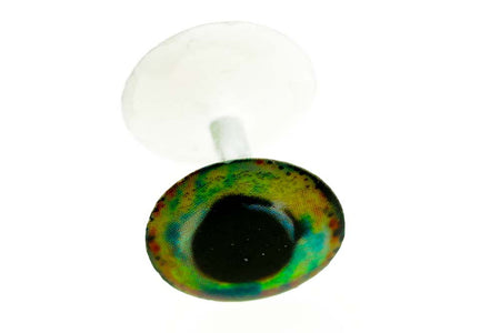 You added <b><u>Light Weight Dumbbell - Rainbow Ghost</u></b> to basket.