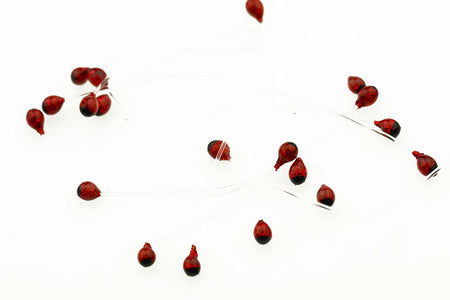 You added <b><u>Shrimp and crab Eyes - Red</u></b> to basket.