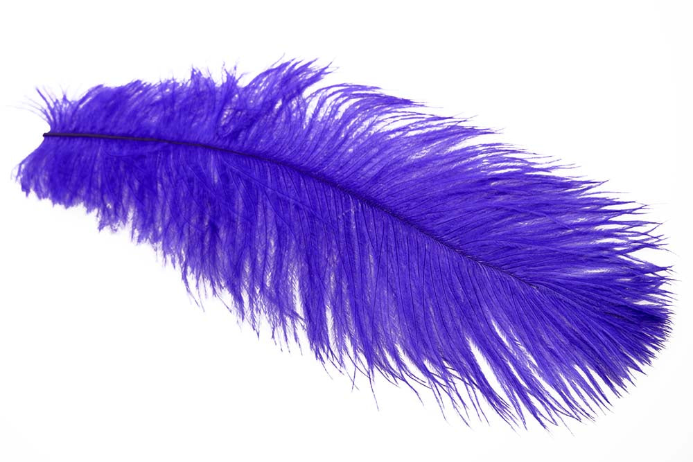 XL Struds Herl - Purple