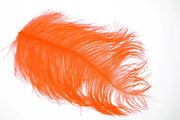 XL Struds Herl - Orange