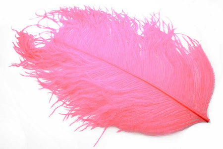 You added <b><u>Xl Ostrich  Herl - Salmon</u></b> to basket.
