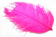 XL Struds Herl - Pink